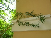 /album/detaily-ii1/a01-195-jpg/